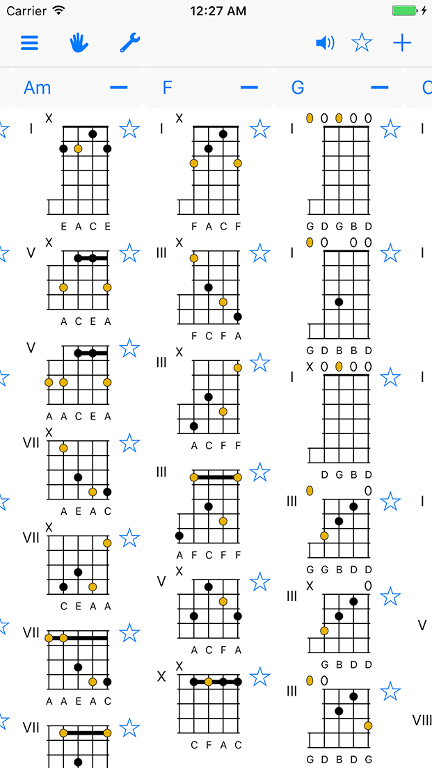 Screen with sample banjo chord charts.